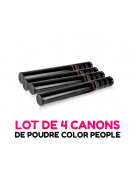 4 canons 45cm à poudre Holi