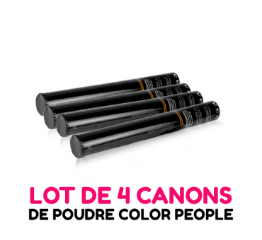 4 canons 45cm à poudre Holi