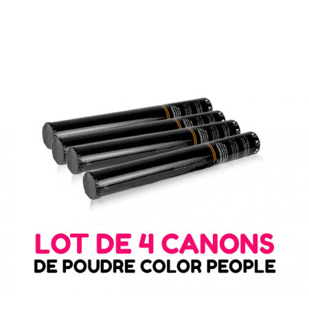 4 canons 45cm à poudre Holi